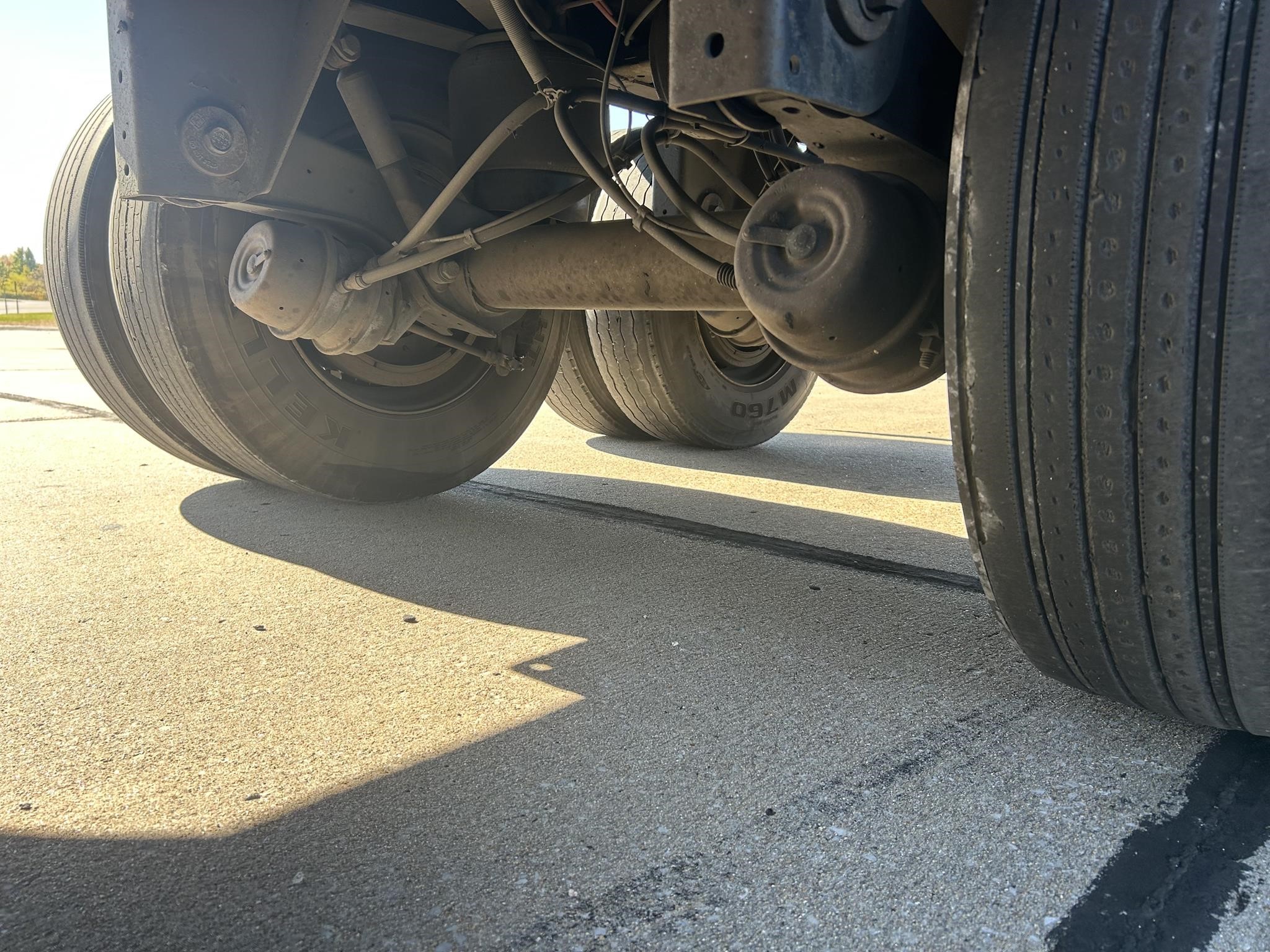 2017 GREAT DANE CHAMPION 10019374386 2017 GREAT DANE CHAMPION 10019374386