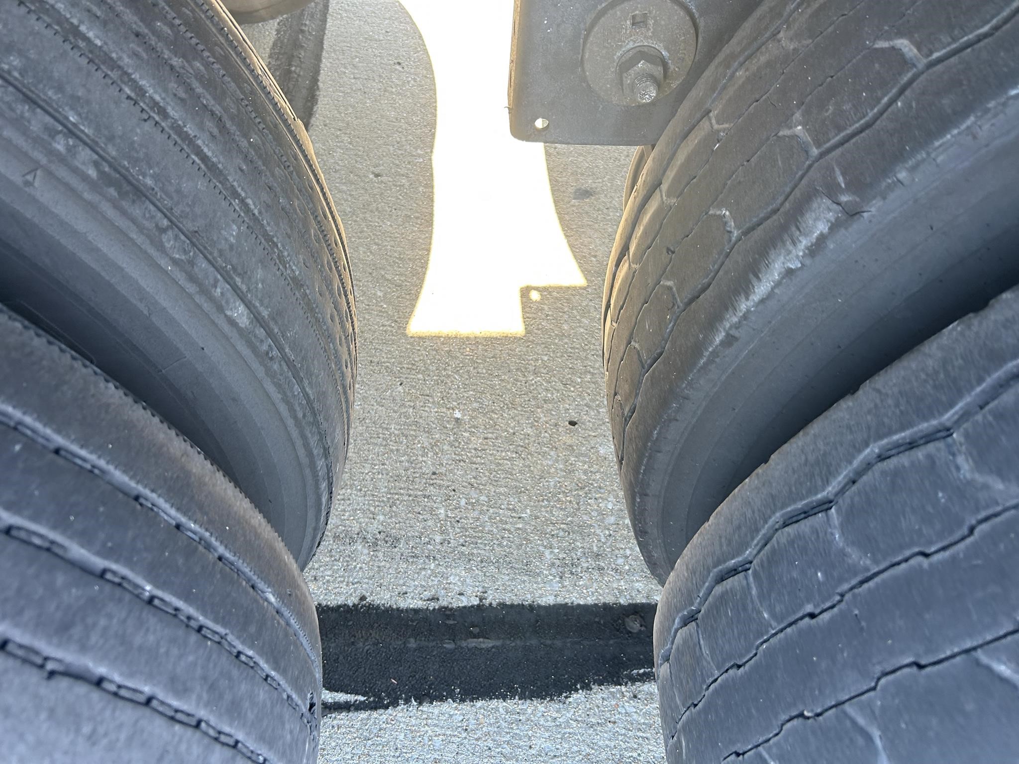 2017 GREAT DANE CHAMPION 10019374411 2017 GREAT DANE CHAMPION 10019374411