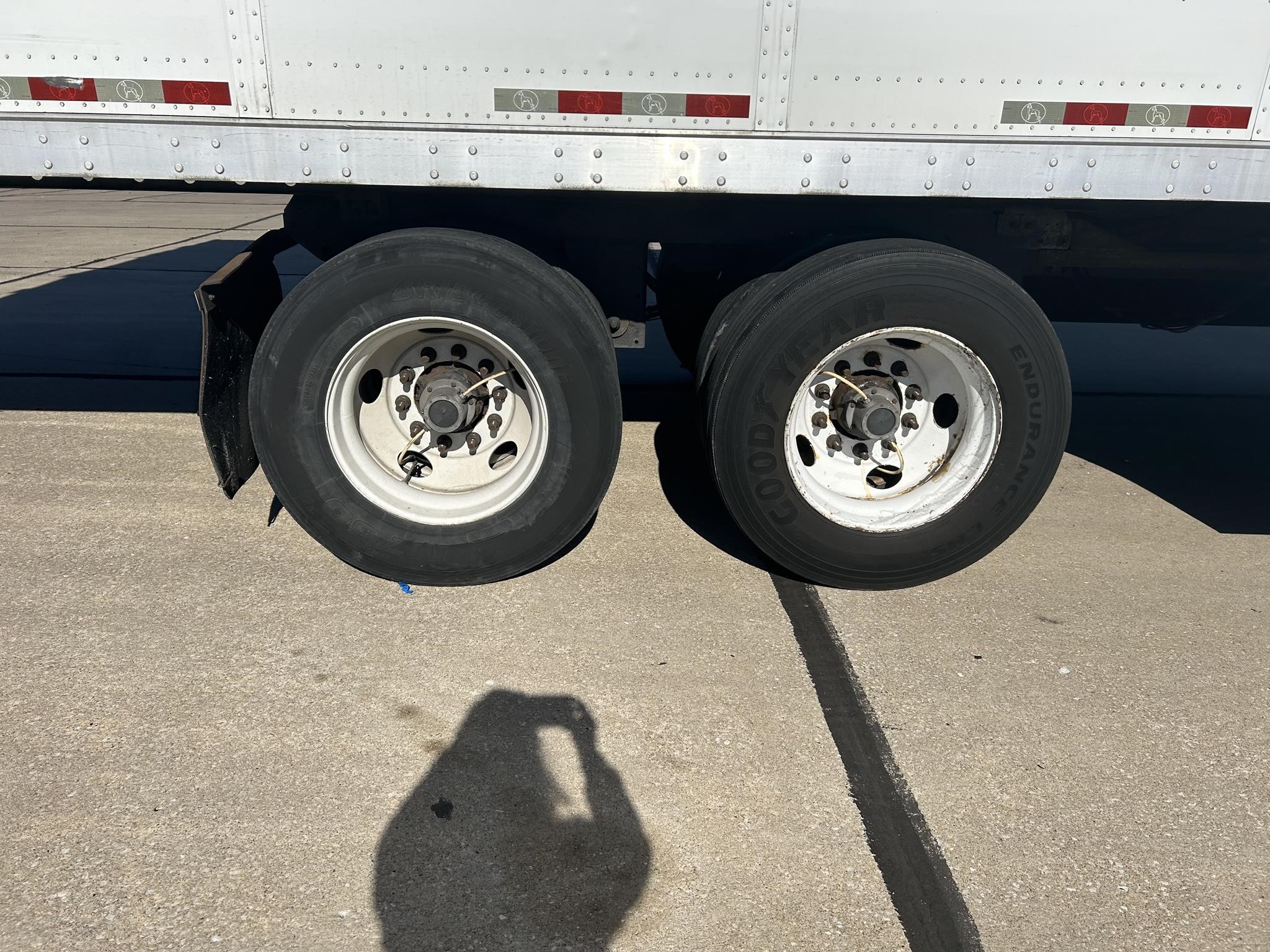 2017 GREAT DANE CHAMPION 10019374457 2017 GREAT DANE CHAMPION 10019374457