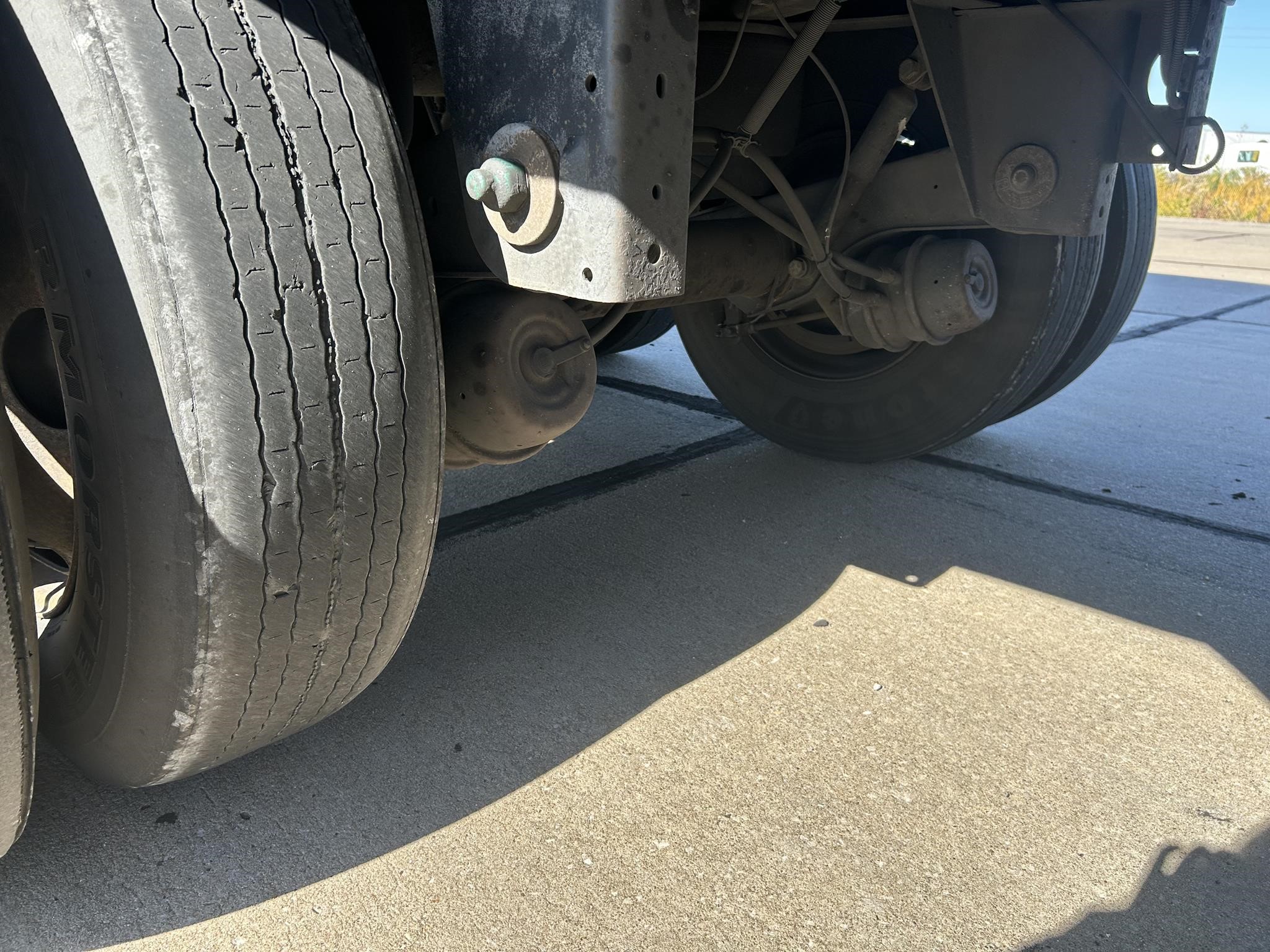 2017 GREAT DANE CHAMPION 10019374473 2017 GREAT DANE CHAMPION 10019374473