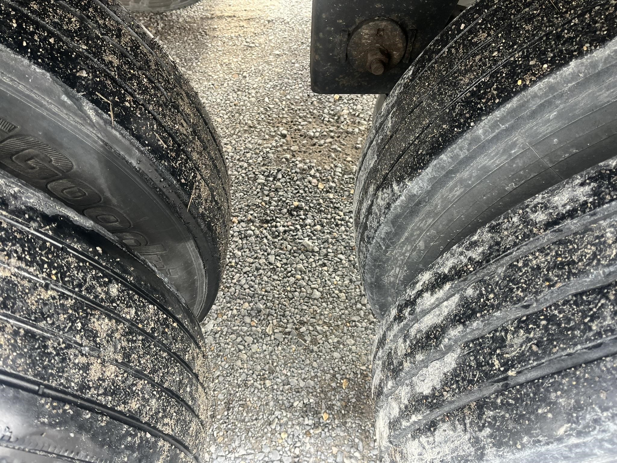 2014 GREAT DANE CHAMPION 2014 GREAT DANE CHAMPION - image 5 of 6